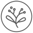 herbs extract tei