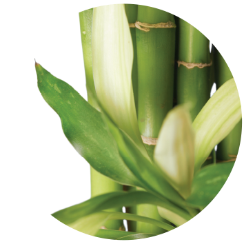 Invelis 100% natural din bambus